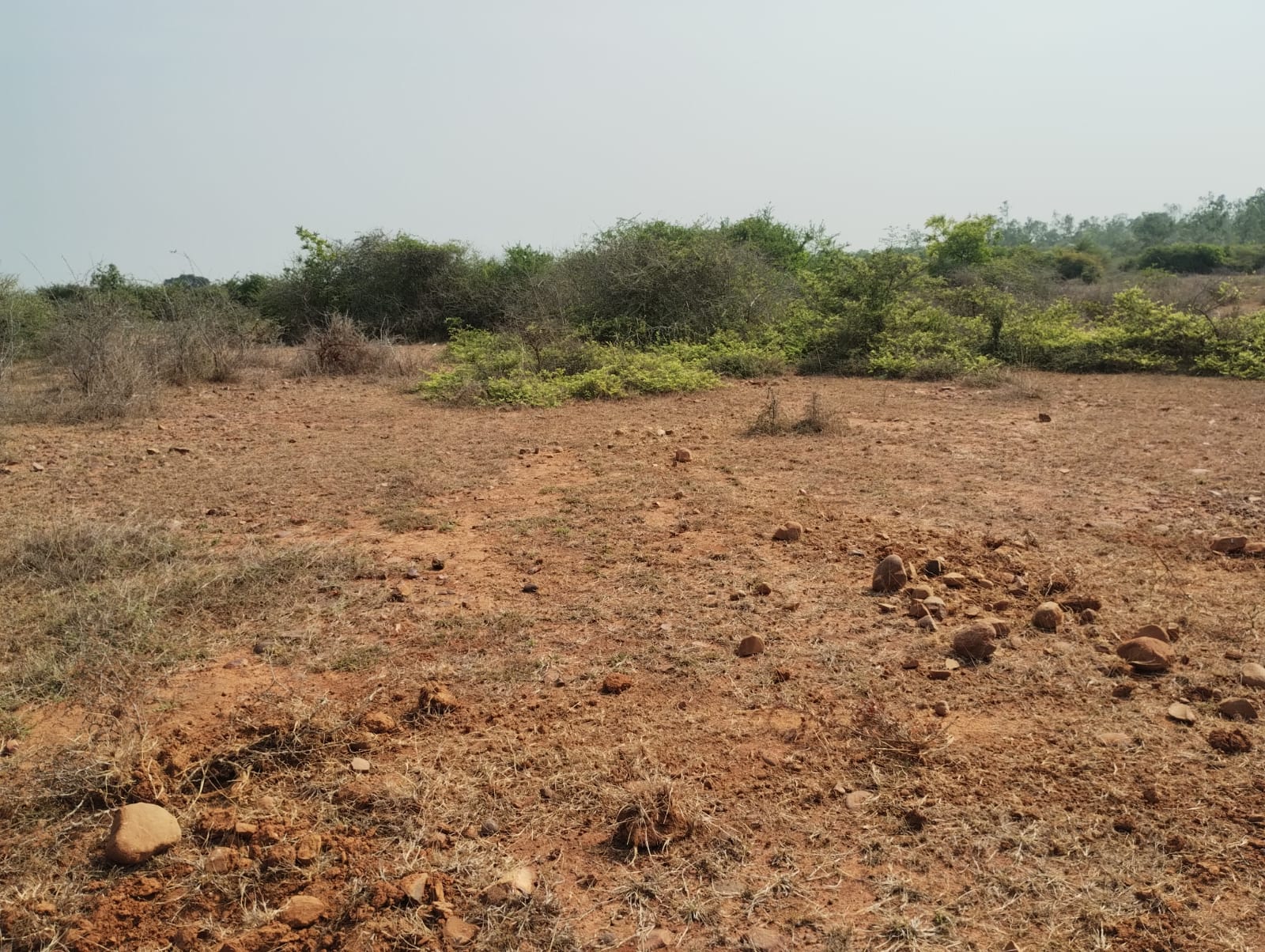 Premium villa plot for sale in Vengal